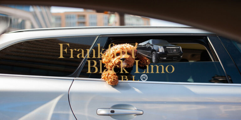Pet chauffeur Frankfurt