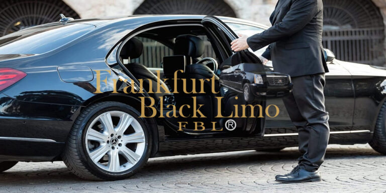 Professional Chauffeur Personal Translator