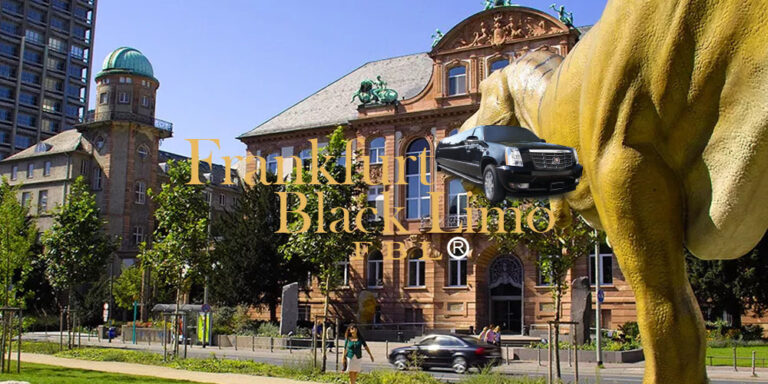 German cities to visit with kids